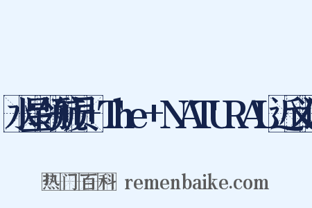 水星领航员+The+NATURAL近义词是什么意思的图片